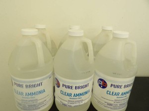 6 BOTTLES OF 2 QUART PURE BRIGHT AMMONIA CLEANERS
