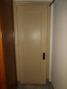 LARGE ANTIQUE DOOR