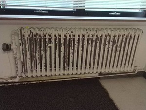 6FT ANTIQUE RADIATOR