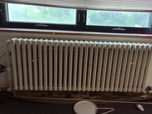 6FT ANTIQUE RADIATOR
