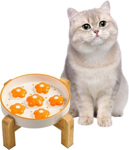 $21 Elevated Slow Feeder Cat Bowl - Maze Puzzle Cat Food Dish with Bamboo Stand, Anti-Slip - Raised Base for Comfortable Eating - 6 OZ - Bright Orange Flower