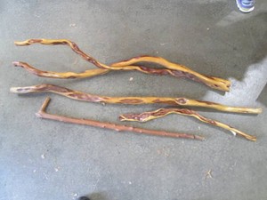 Collection of Diamond Willow Canes ...