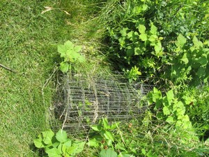 2-Rolls unknown length garden fenci...