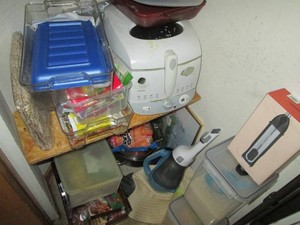 Deep Fryer, frother, roaster, misc ...