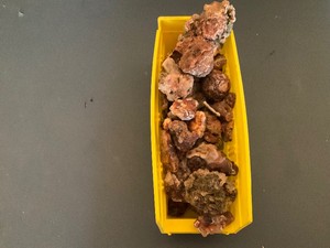 Assortment of rocks