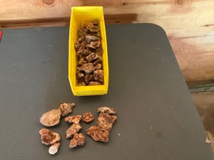 Assortment of rocks