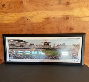 First Pitch Target Field Picture