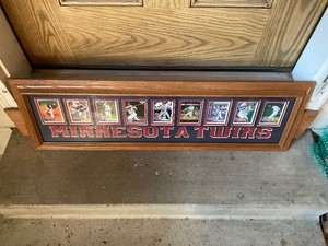 MN Twins Picture