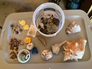 Rock and Shell Lot