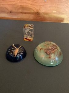 Lot of 3 paperweights