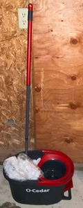 Mop bucket with mop