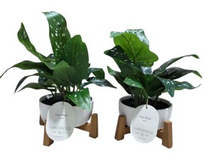 Set of 2 Threshold Faux Calla Lily Plants With White Pots & Wood Stands