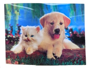 Puppy & Kitten 3D Wall Art  Colorful Pet Portrait Print