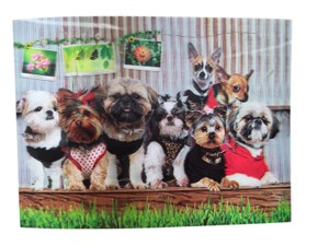 Assorted Small Dogs lenticular style 3D print Wall Art  Colorful Pet Portrait Print