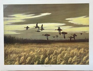 Don Richard Eckelberry Black Ducks Over the Marsh Limited Edition Print