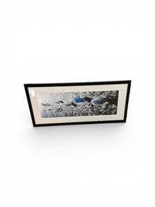 Framed Art