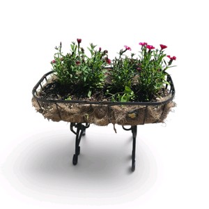 Outdoor Planter