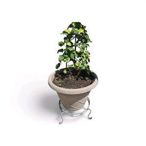 Outdoor Planter