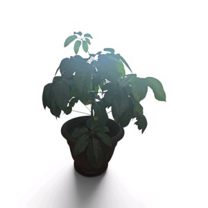 Decorative Faux Plant