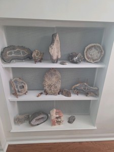15 Cut and Polished Decorative Stones  Fossils
