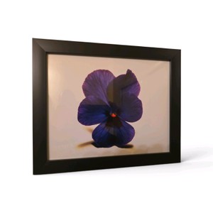 Framed Art