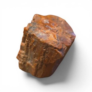 petrified wood, commonly known as fossilized wood where organic material has been replaced by minerals