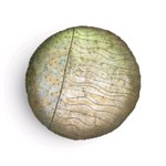 Contemporary Round Wall Art 24" Diameter