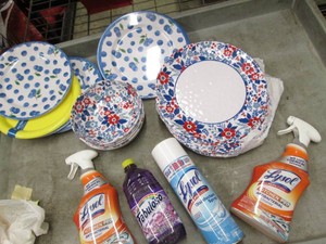 Plates bowls and cleaning products...