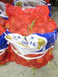 50 Pounds of onions...
