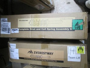 2 coil spring and strut assembly ki...
