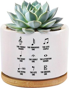 Musical Notes Symbol Definition Musicians Gifts Music Teacher Gifts Pianist Choir Director Ceramic Succulent Plant Pot with Bamboo Tray Round Plant Lover Home Decor 3.5 Inch White (No Plants)