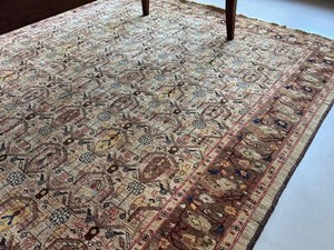 Oriental Rug Hand-Knotted Pakistani Persian-Style Mahi Herati Wool