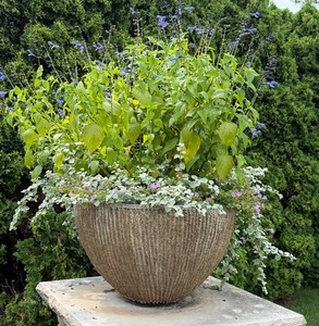 Concrete Planter - Ribbed Garden Urn