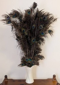 UB - Peacock Feather Vase - Red Wing