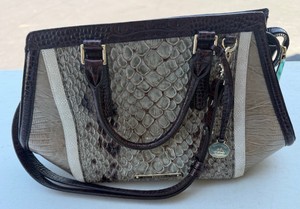 Brahmin Arden SatchelPurse (Glacier Carlisle)