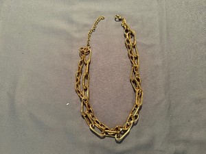 Daisy Fuentes Chain Necklace