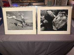 Pair of Black and White Nature Photographs 25 x 21 x 1