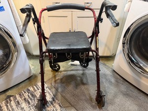 Pro Basics Walker