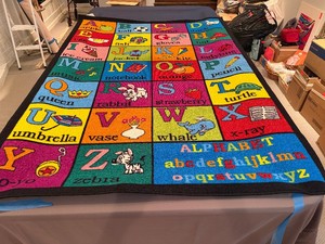 Nola Collection Childrens Rug - Gently used in excellent condition (5 x 7)