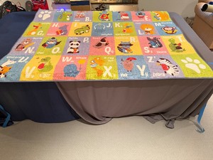 Childrens Alphabet Rug 62 x 78