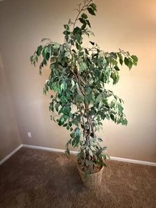 Decorative Faux Tree