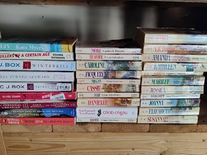 Large Lot of Softcover Sunfire Romance Novels  A Few Others...