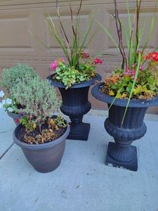 Outdoor Planters wFlowers
