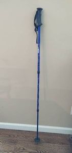 MountainSmith Pinnacle Walking Stick