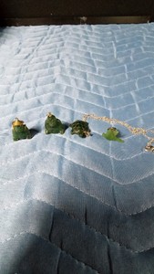 Jade Pieces