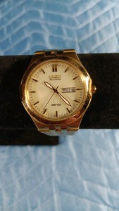 Citizen Corso Echo Drive Mens watch