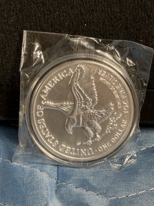 1-ounce American Silver Eagle Bullion Coin issued by the United States Mint. Specifically, this side showcases the Type 2 reverse design introduced in mid-2024, featuring an eagle approaching a landing while carrying an oak branch.