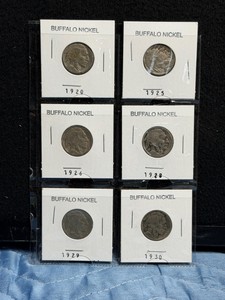 6 - Buffalo Head Nickels in Protective Sleeves