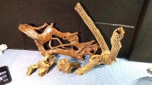 Lot of driftwood