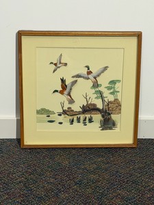 3D Mallard drake (male) in flight, depicted as part of a vintage feather art shadowbox display.